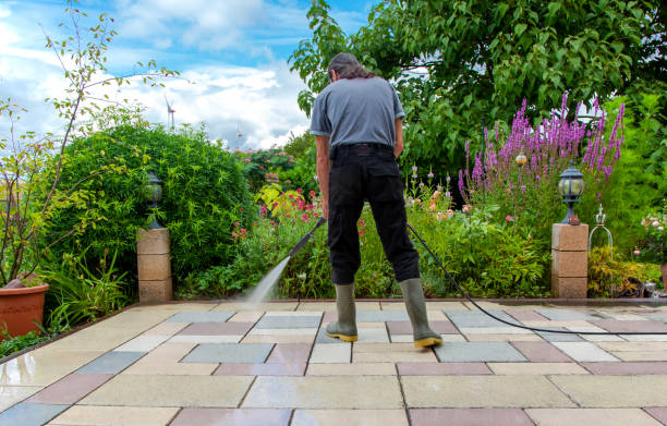 Animal Enclosure Cleaning in Saunders Lake, OR